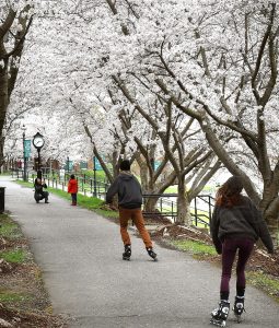 Work to start on Morgantown's riverfront revitalization project